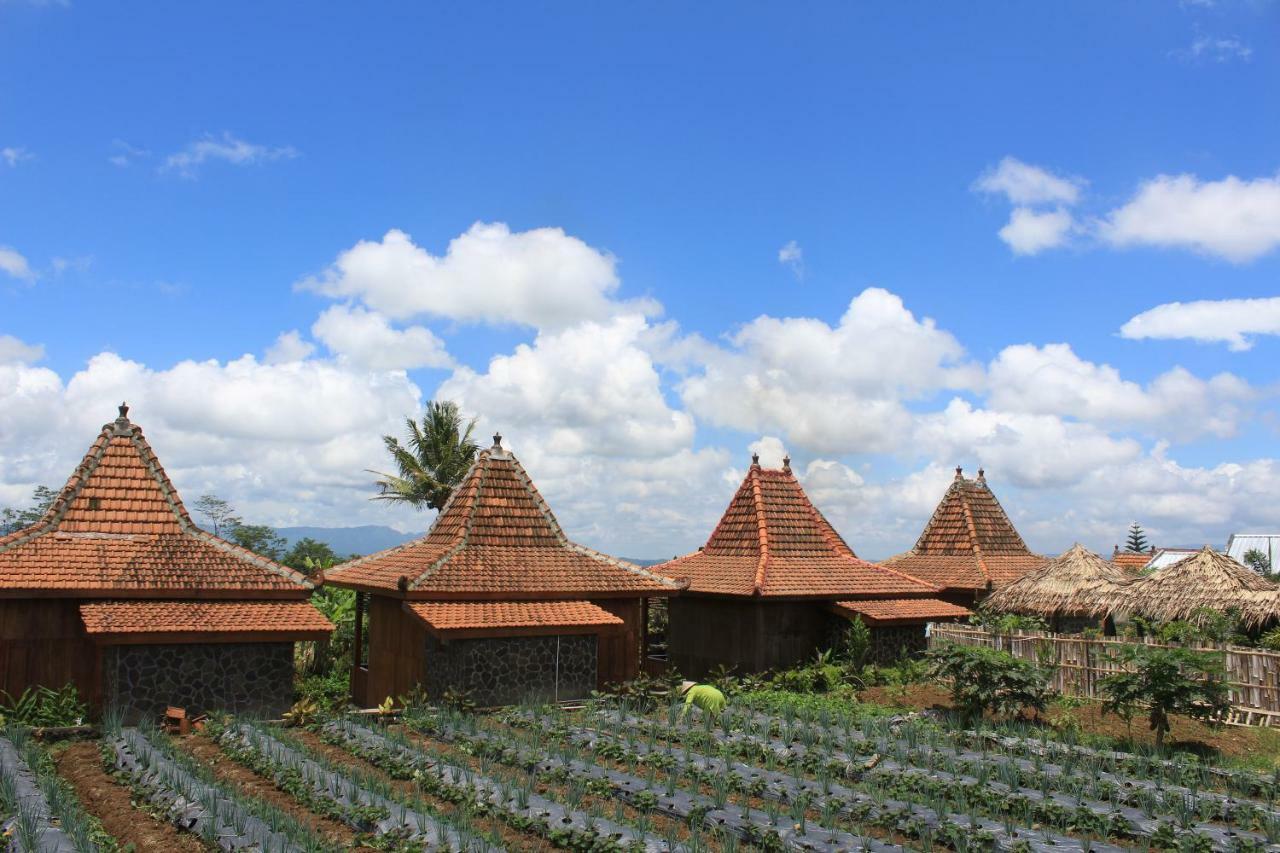 Villa Sindoro Village Wonosobo Exterior photo